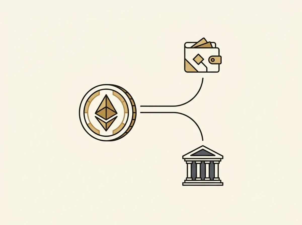 An illustration of a coin with two withdrawal options: one path leading to a crypto wallet and another to a bank.